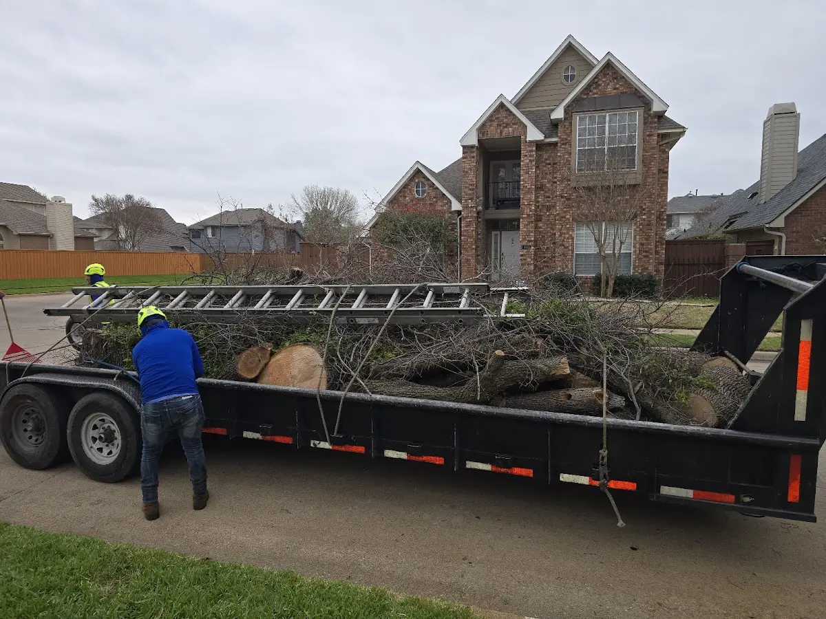 Expert Tree Removal with proper safety equipment in Swoope